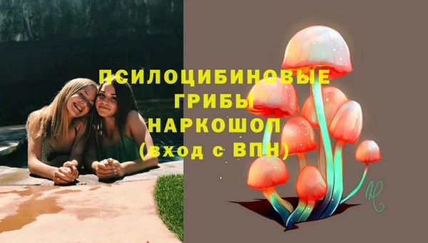 соль ск Алзамай
