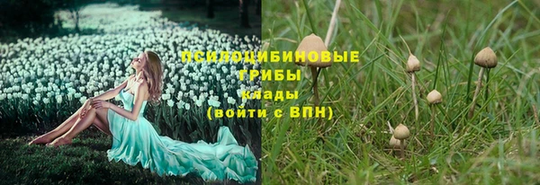 соль ск Алзамай