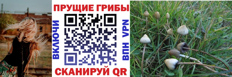 Галлюциногенные грибы мухоморы Архангельск