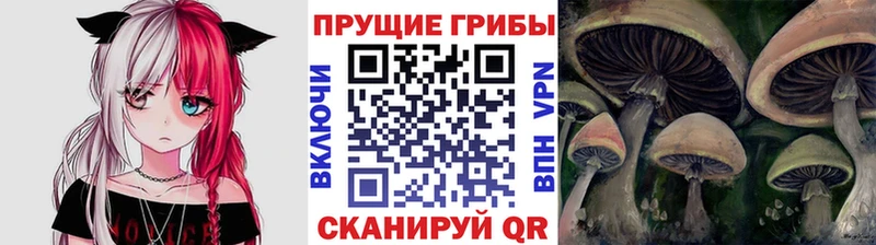 сайты даркнета как зайти  Архангельск  Галлюциногенные грибы ЛСД  закладки  МЕГА  